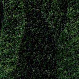 Satellite imagery of 9181, NZ