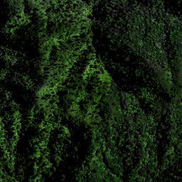 Satellite imagery of OHINEWHIRO, NZ