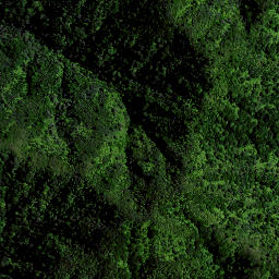 Satellite imagery of OHINEWHIRO, NZ