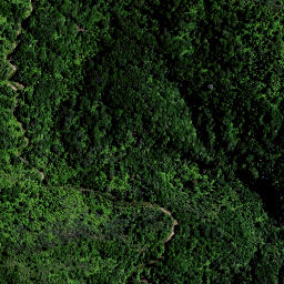 Satellite imagery of OHINEWHIRO, NZ