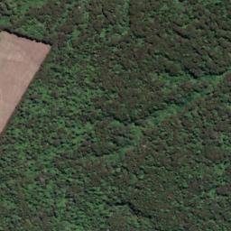 Satellite imagery of Kawakawa Point, NZ