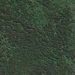 Satellite imagery of Kawakawa Point, NZ