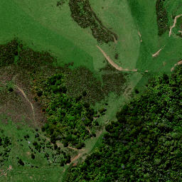 Satellite imagery of PAHAOA, NZ