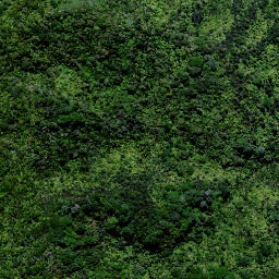 Satellite imagery of PAHAOA, NZ