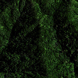 Satellite imagery of OHINEWHIRO, NZ