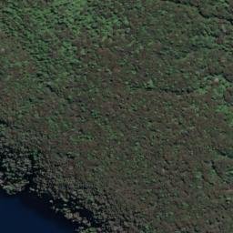 Satellite imagery of Kawakawa Point, NZ