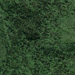 Satellite imagery of Mason Rock, NZ
