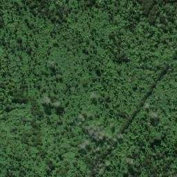 Satellite imagery of Te Itarata Point, NZ