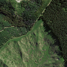 Satellite imagery of Tapue, NZ