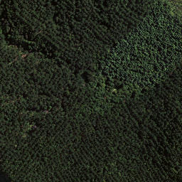 Satellite imagery of Tapue, NZ