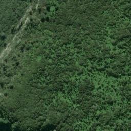 Satellite imagery of Whangamata Bluffs, NZ