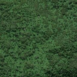Satellite imagery of Te Itarata Point, NZ