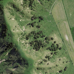 Satellite imagery of Tapue, NZ