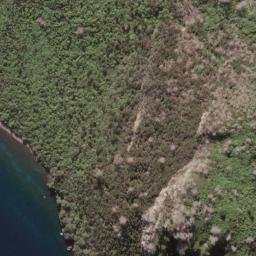 Satellite imagery of Waikarariki Point, NZ