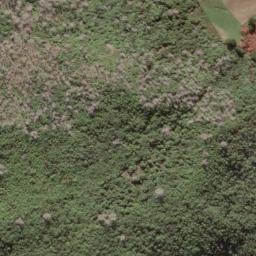Satellite imagery of Waikarariki Point, NZ