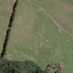 Satellite imagery of Whakatonga Point, NZ