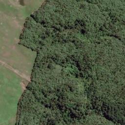 Satellite imagery of Whakatonga Point, NZ