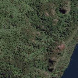 Satellite imagery of Whakatonga Point, NZ