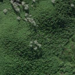Satellite imagery of 36 TUHINGAMATA, NZ