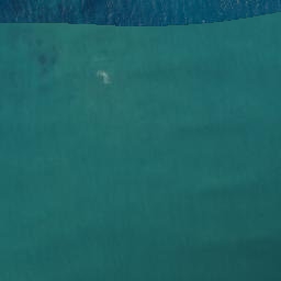 Satellite imagery of Tuaheni Point, NZ