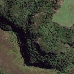Satellite imagery of Whakatonga Point, NZ
