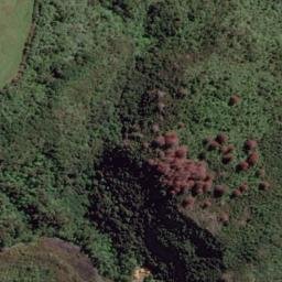 Satellite imagery of Whakatonga Point, NZ