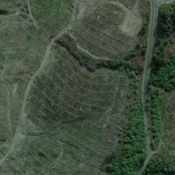 Satellite imagery of Te Ruatakuahi Point, NZ