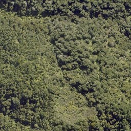Satellite imagery of HAPU, NZ
