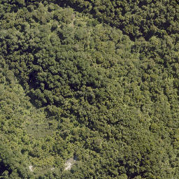 Satellite imagery of HAPU, NZ