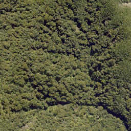 Satellite imagery of HAPU, NZ