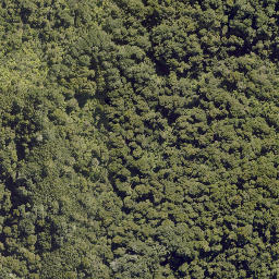 Satellite imagery of HAPU, NZ