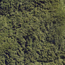 Satellite imagery of HAPU, NZ