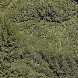 Satellite imagery of HAPU, NZ
