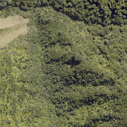 Satellite imagery of HAPU, NZ