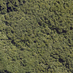 Satellite imagery of HAPU, NZ