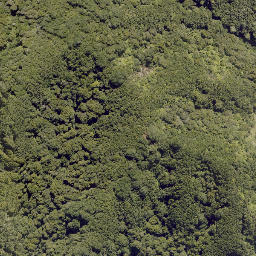 Satellite imagery of HAPU, NZ