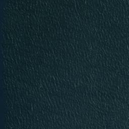 Satellite imagery of Rangatira Point, NZ