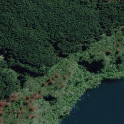 Satellite imagery of Ohinetuhua Point, NZ