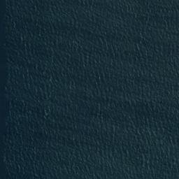 Satellite imagery of Rangatira Point, NZ