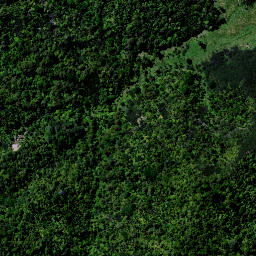 Satellite imagery of C MT TIGER, NZ