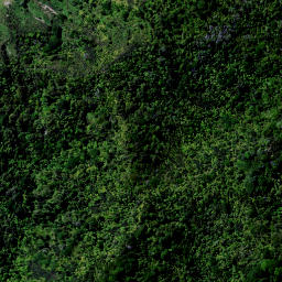 Satellite imagery of C MT TIGER, NZ