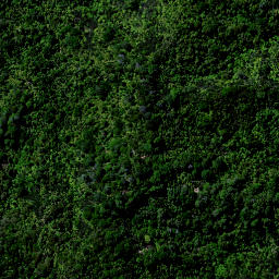 Satellite imagery of C MT TIGER, NZ