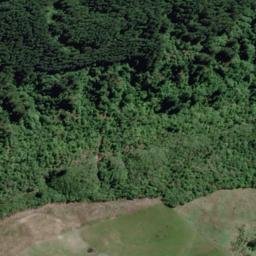 Satellite imagery of 10221, NZ