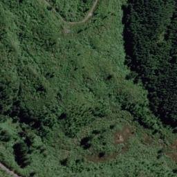 Satellite imagery of 10221, NZ