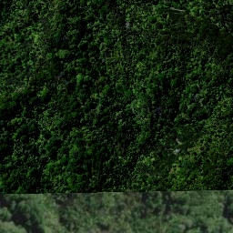 Satellite imagery of C MT TIGER, NZ