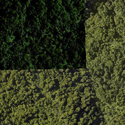 Satellite imagery of 10021 TAWHITIRAUPEKA NO 2, NZ