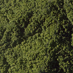 Satellite imagery of 10021 TAWHITIRAUPEKA NO 2, NZ
