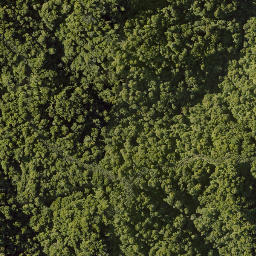 Satellite imagery of 10021 TAWHITIRAUPEKA NO 2, NZ