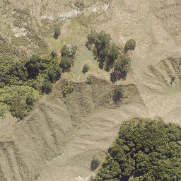 Satellite imagery of PRENTICE, NZ