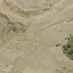 Satellite imagery of PRENTICE, NZ